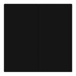 Load image into Gallery viewer, Two gang mechanical switch (black, without frames)