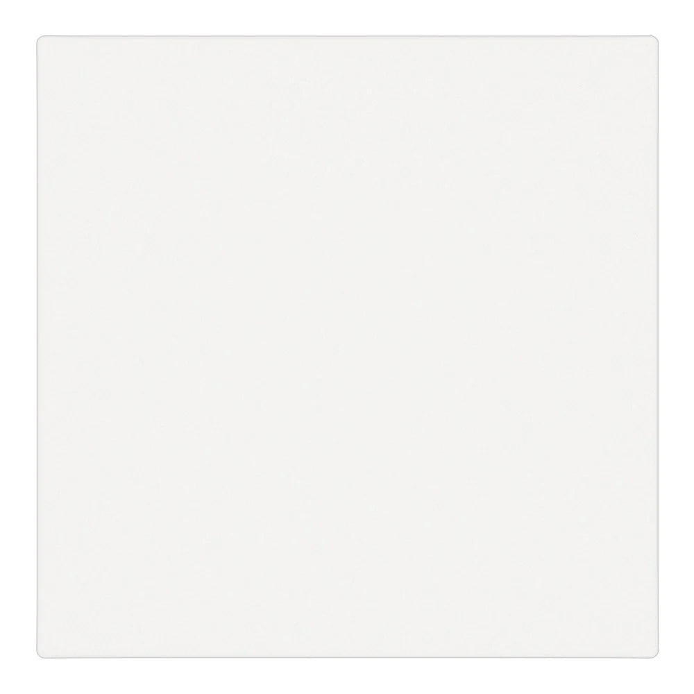 One gang mechanical switch (white, without frames)