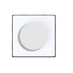 Laadige pilt galeriivaatajasse,One gang mechanical switch, dimmer (white, without frames) - Springswitches
