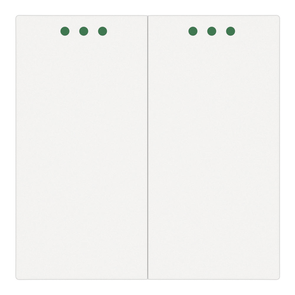 Two gang, two way mechanical switch (white, without frames)