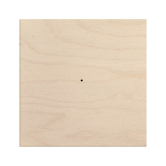 Touch switch (natural wood panel)